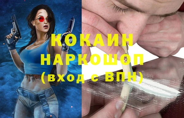 сатива Кулебаки