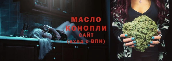 сатива Кулебаки