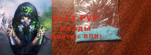 стаф Галич
