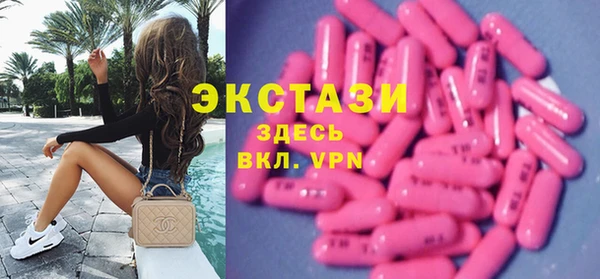 стаф Галич