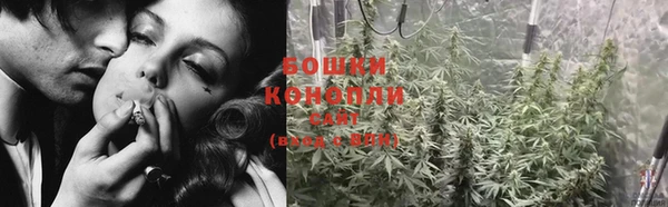 бошки Гатчина