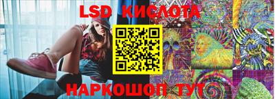 дмт Кандалакша